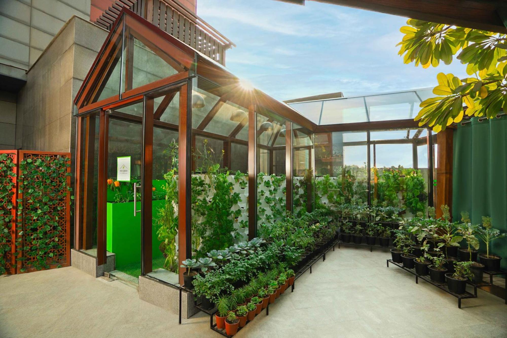 فندق وريزدنس ذا ليلا أمبيانس جوروجرام غورغاون المظهر الخارجي الصورة The rooftop greenhouse